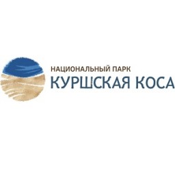 Неделя экологии в детском технопарке «Кванториум»