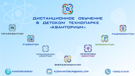 ДИСТАНЦИОННОЕ ОБУЧЕНИЕ