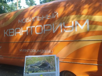 ​Детский технопарк «Кванториум» на Куршской Косе