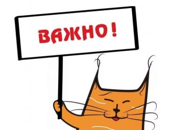 «Веб-разработка с ИИ-ассистентами»